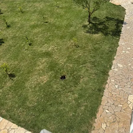 Family Friendly House With A Swimming Pool Gornje Rastane, Biograd - 24616 * Donje Rastane